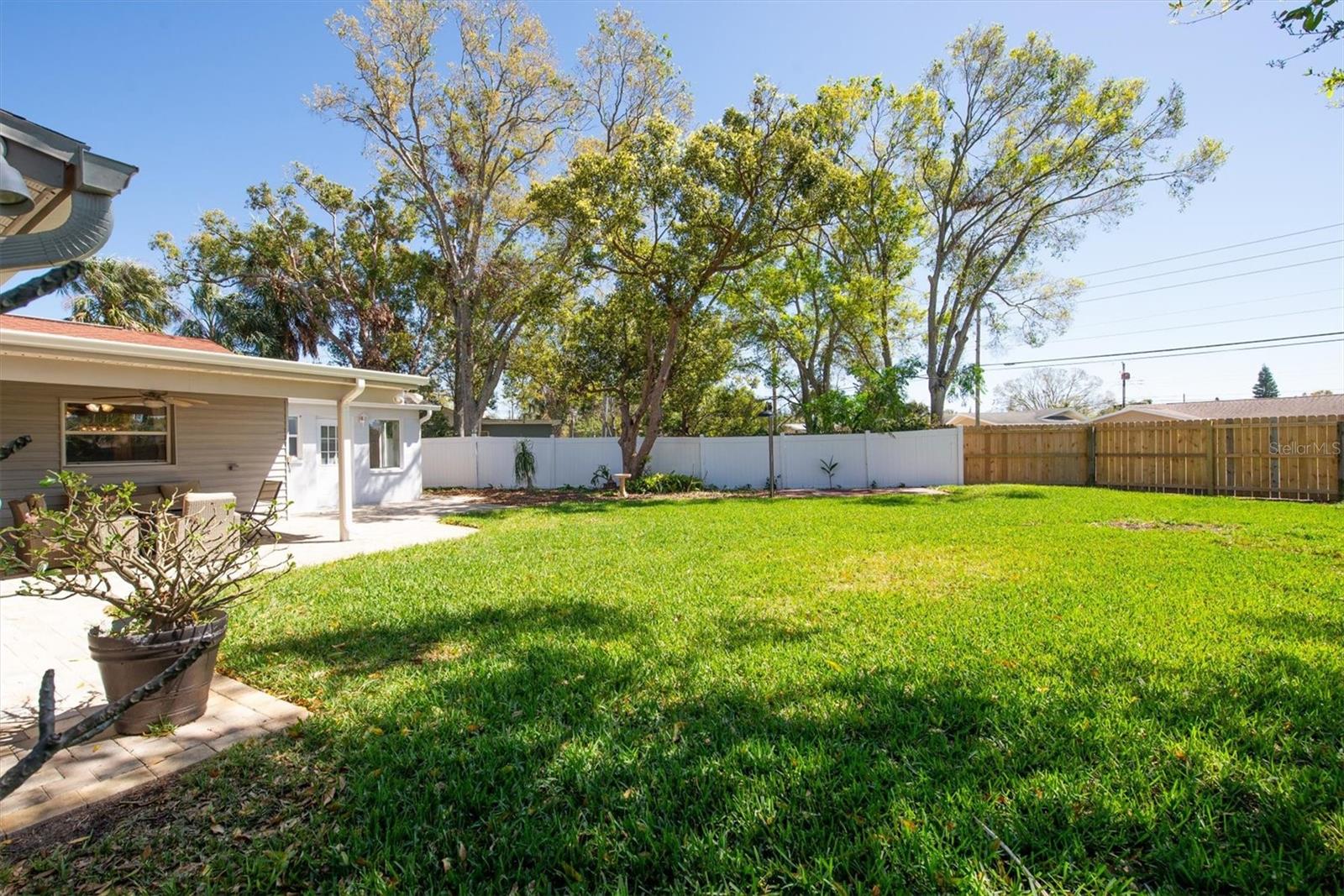 Backyard facing the east side of the house