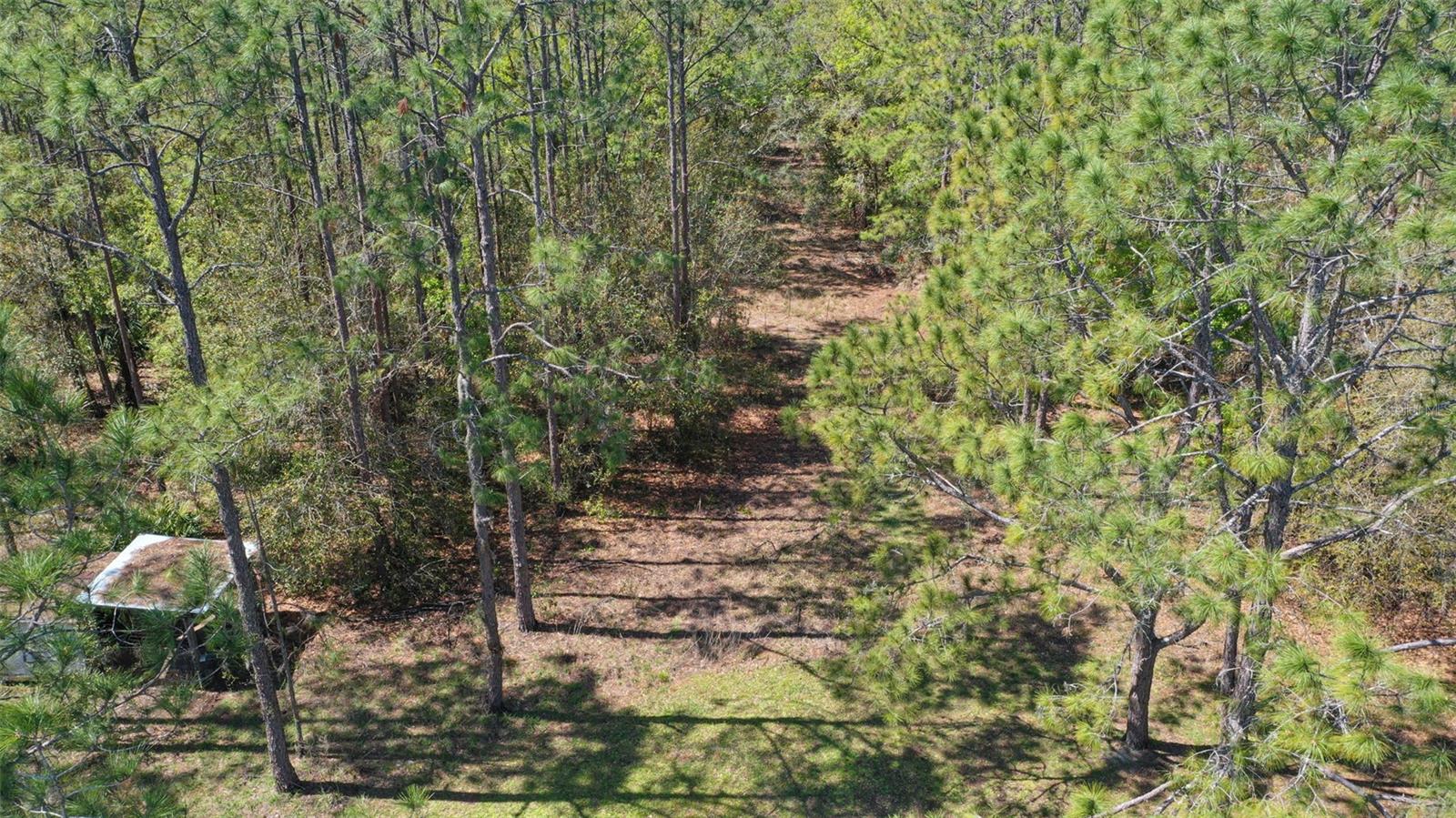 Trail on property