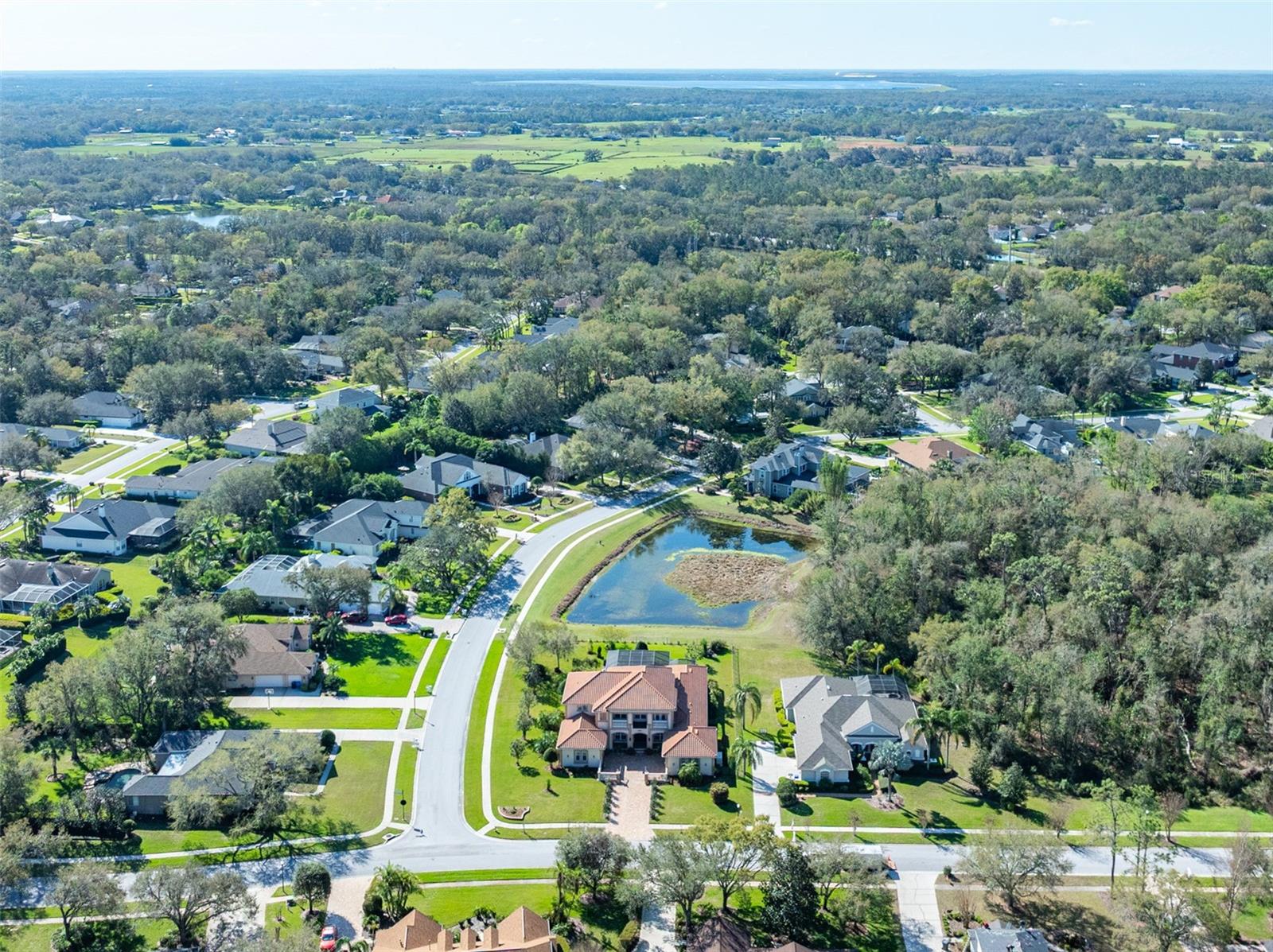 Aerial View of Home & Lot