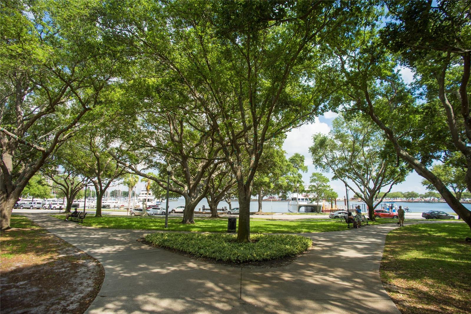 N. Straub Park, directly across the street