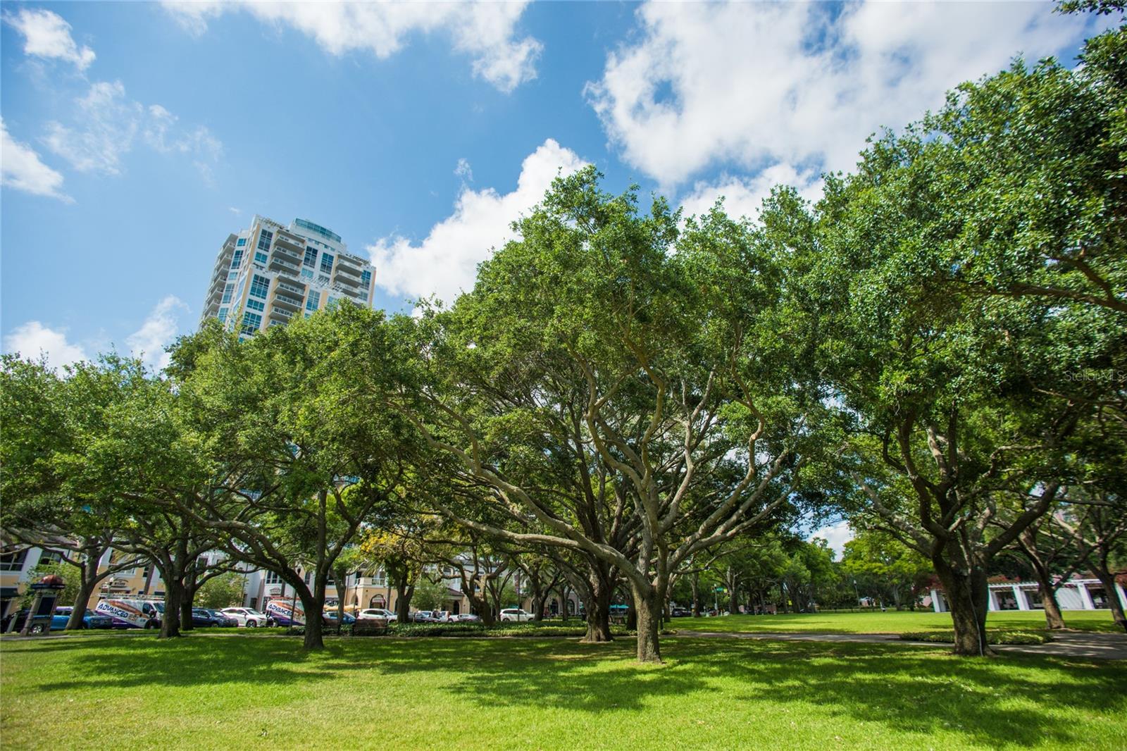 N. Straub Park, directly across the street