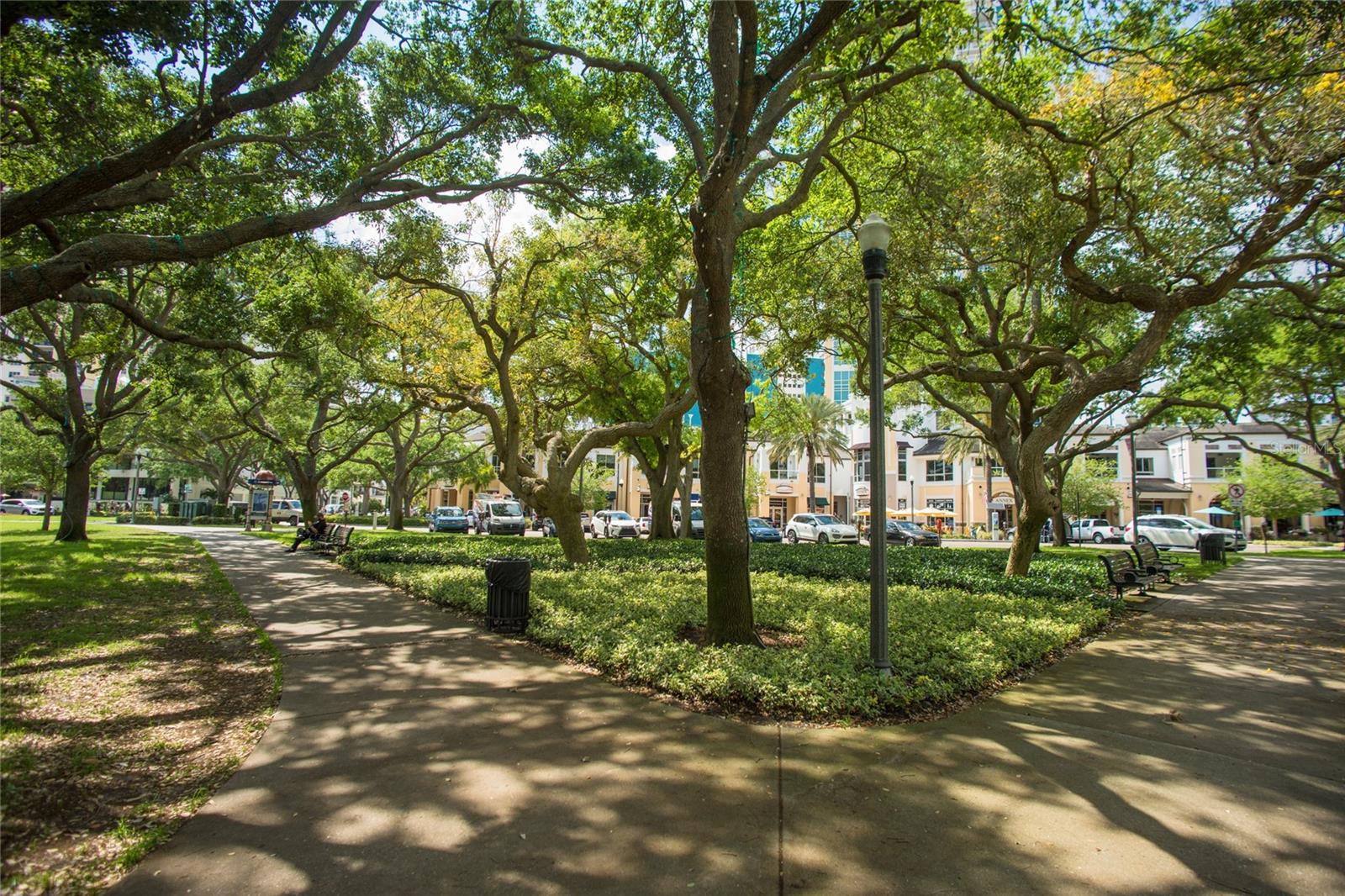 N. Straub Park, directly across the street