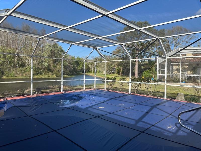 Pool w/Pond View