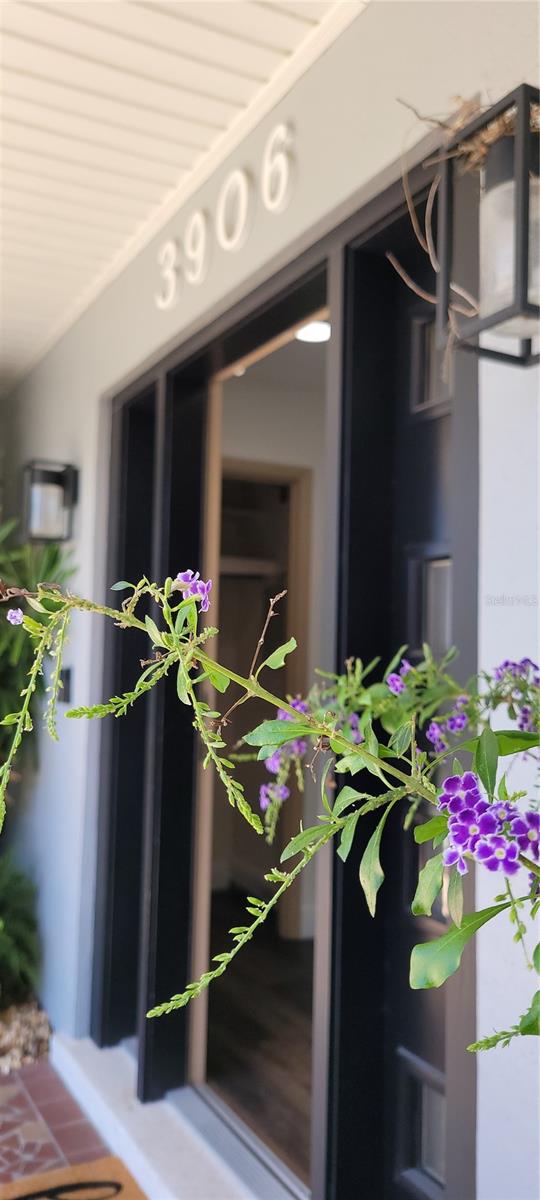 Modern entry door with a Mid-Century feel