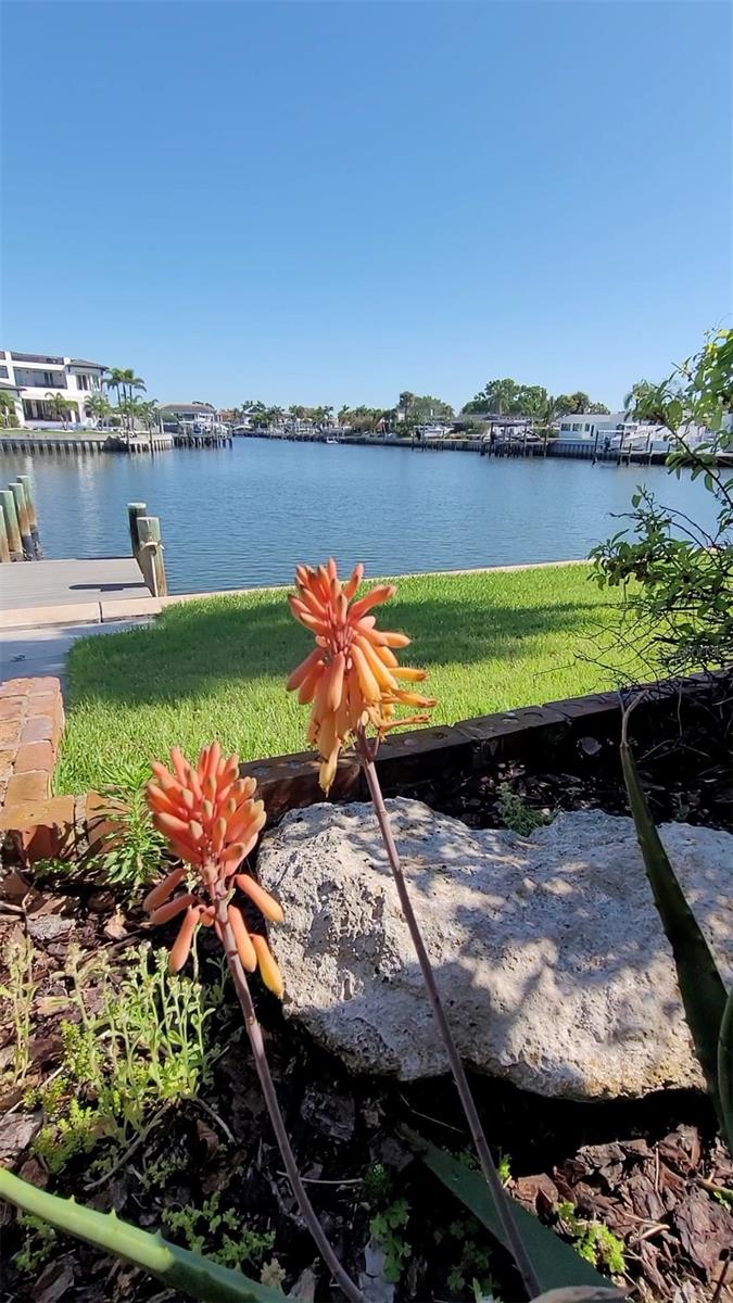 Large rear lawn overlooking the canal