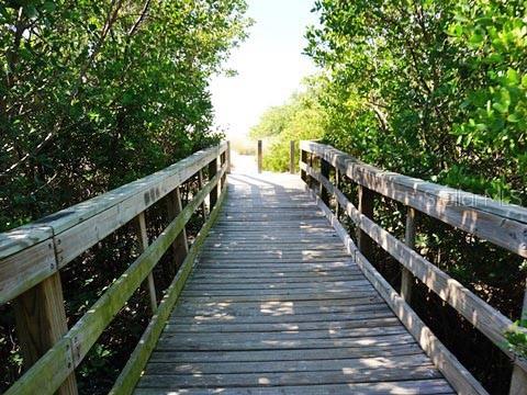 Courtney Campbell Cycle Trail