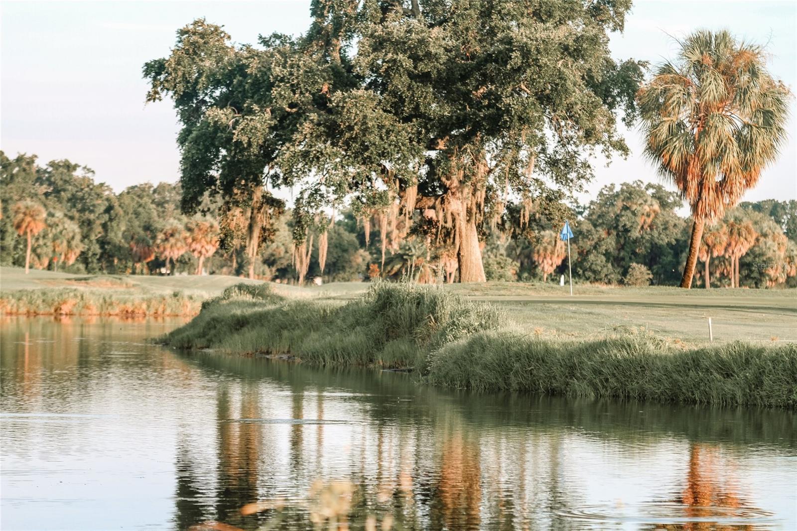 Rocky Point Golf Course... part of The Historic Florida Golf Trail