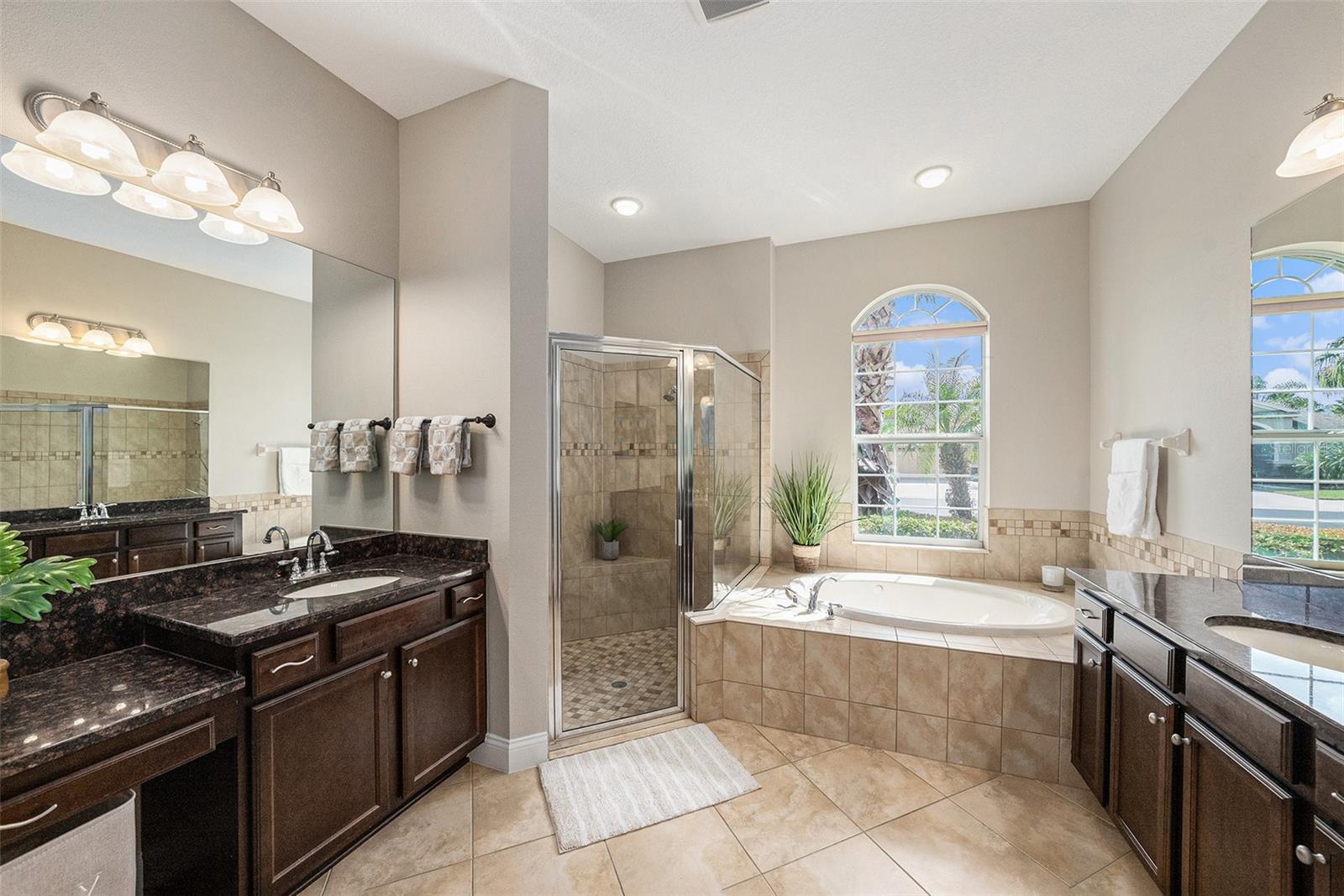 Gorgeous primary bathroom!