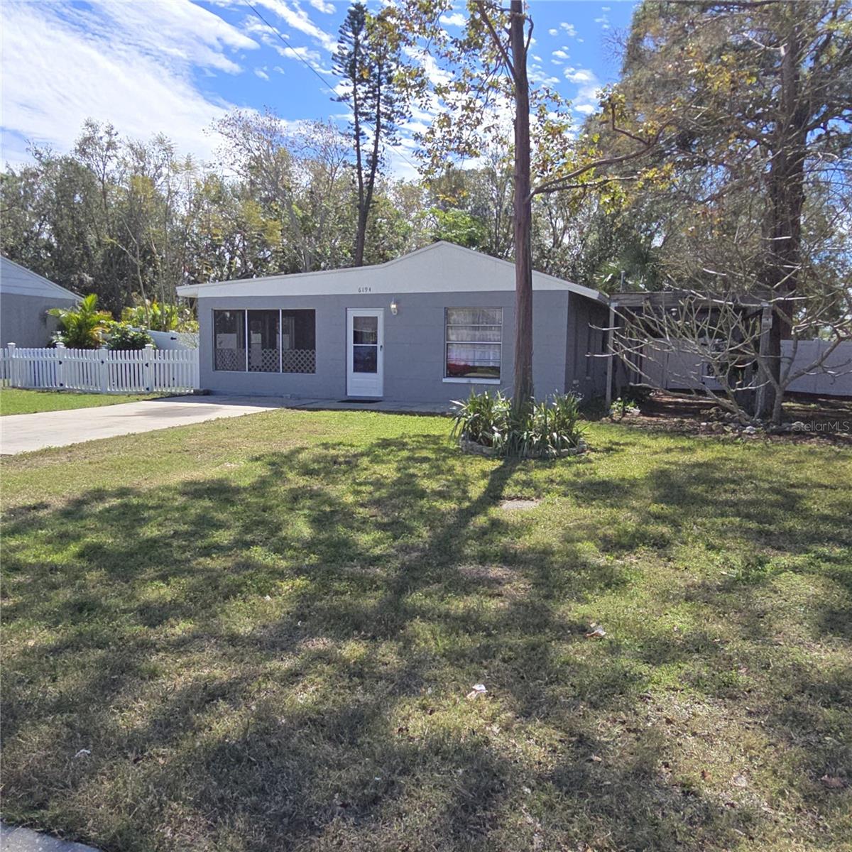 Over 1/4 acre lot Beautiful Rainbow Eucalyptus Tree in front yard