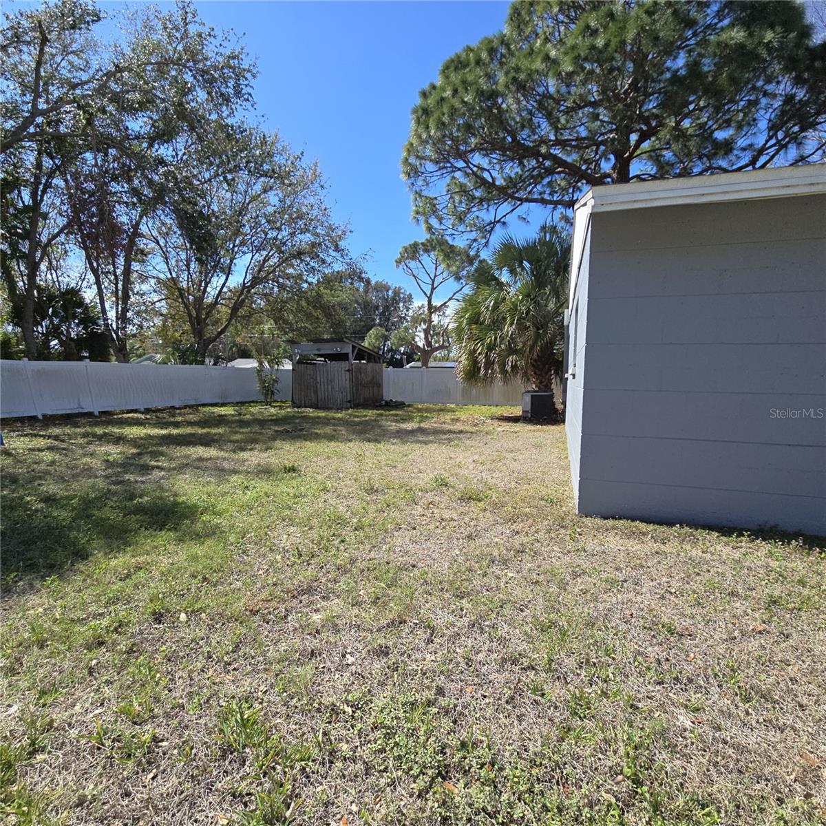 Large backyard