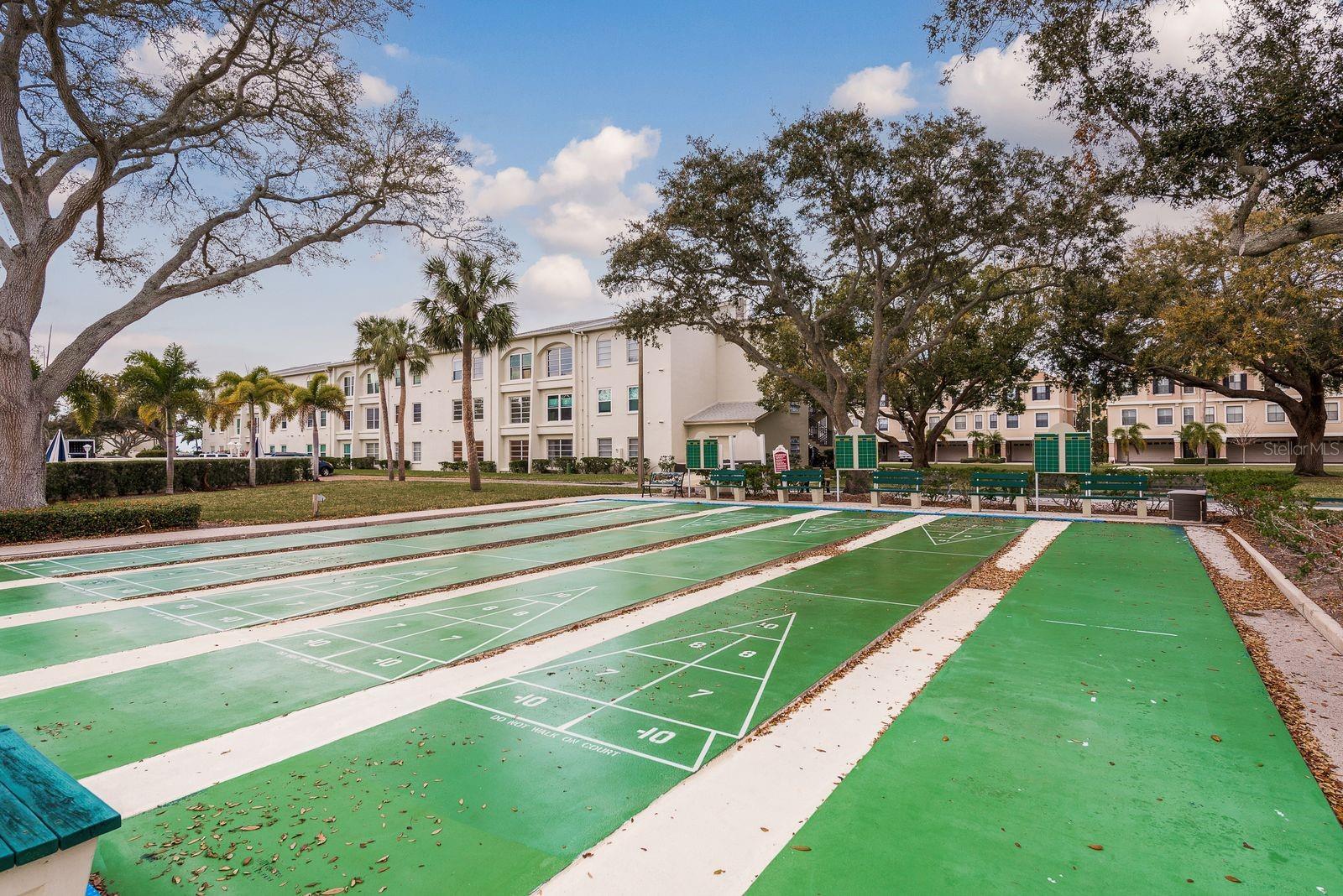 Shuffleboard Courts