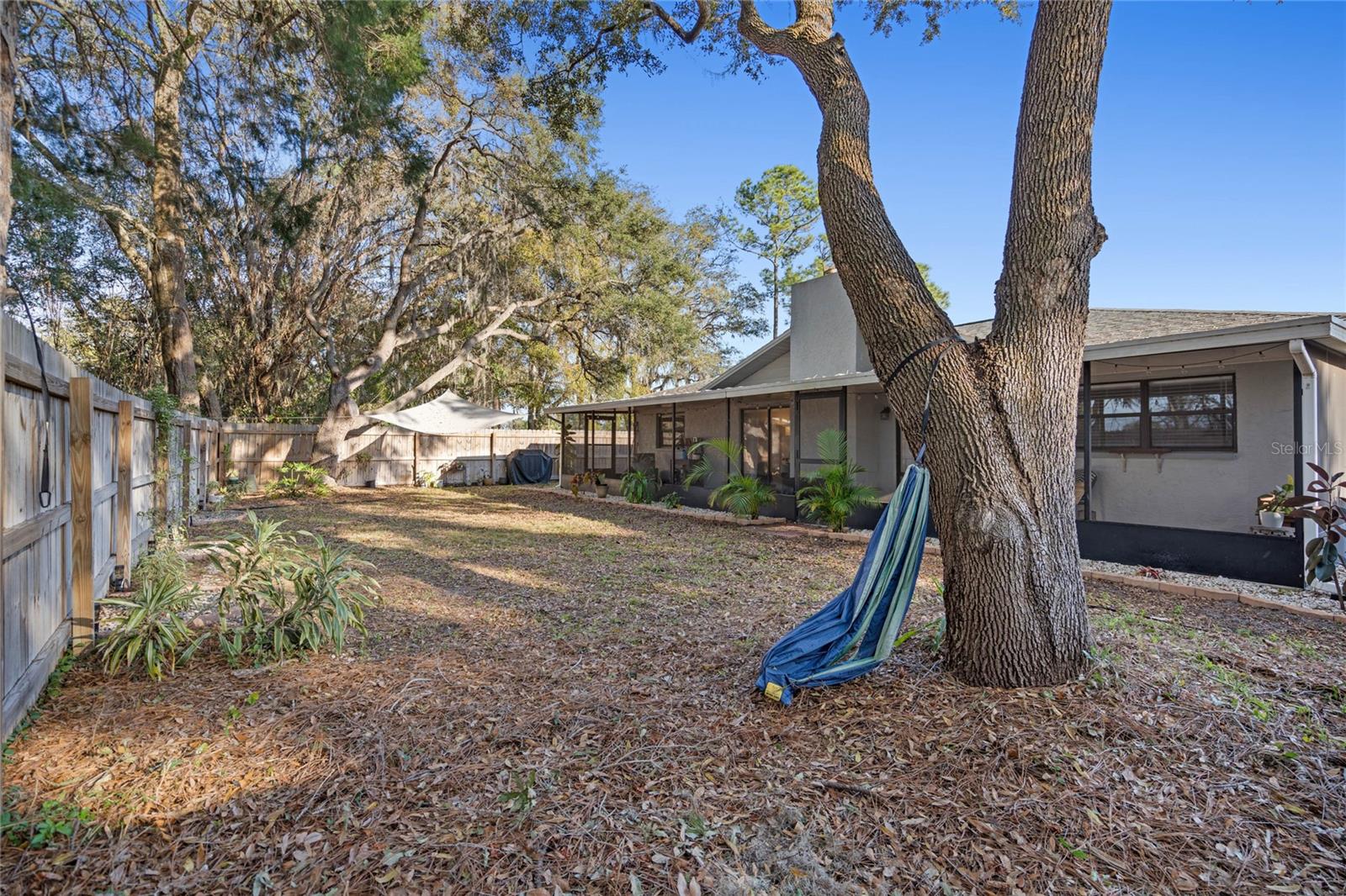 Large backyard with lots of privacy