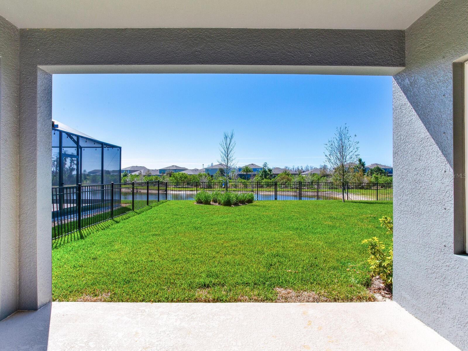 Patio / Backyard