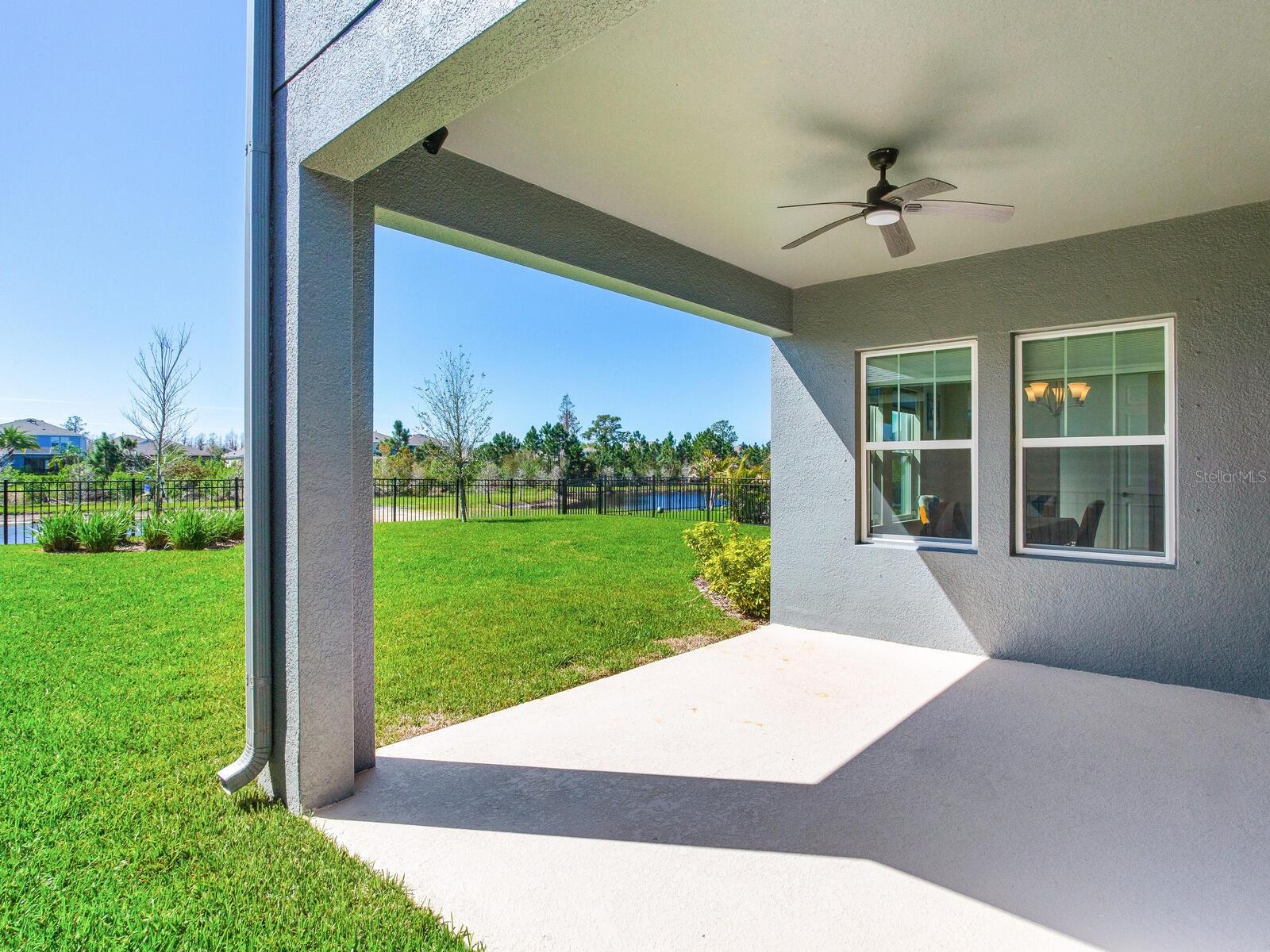 Patio / Backyard