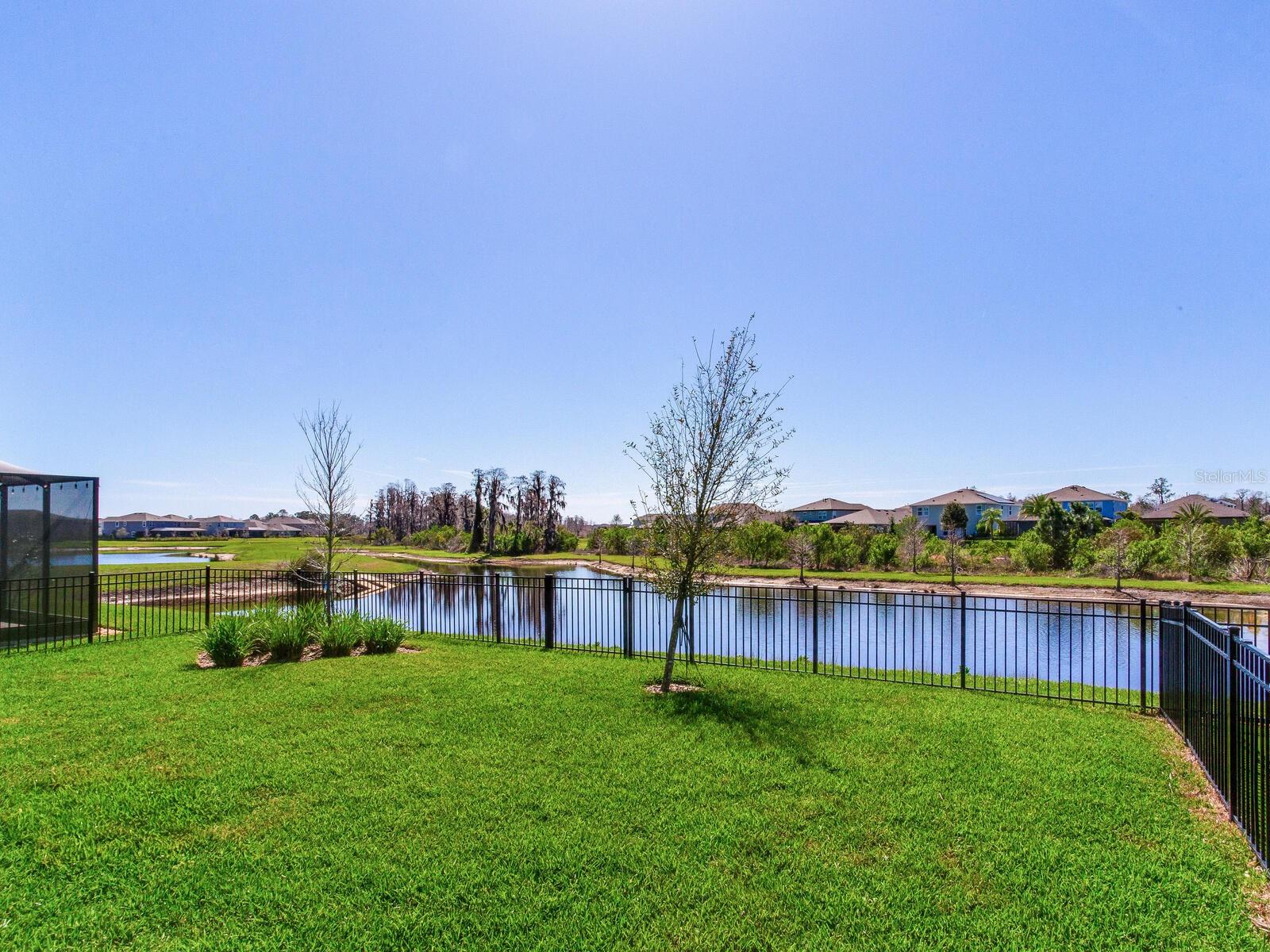 Conservation / Pond View