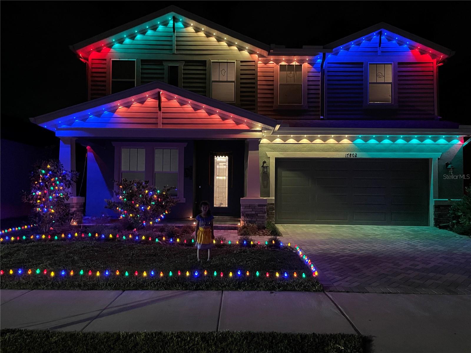 Decorative Lights