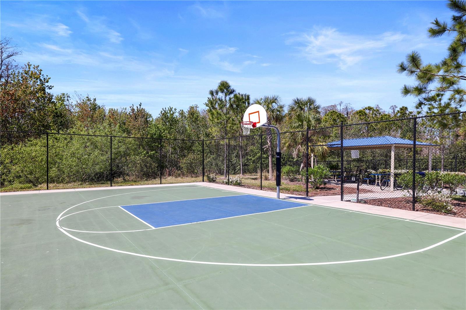 Basketball Court