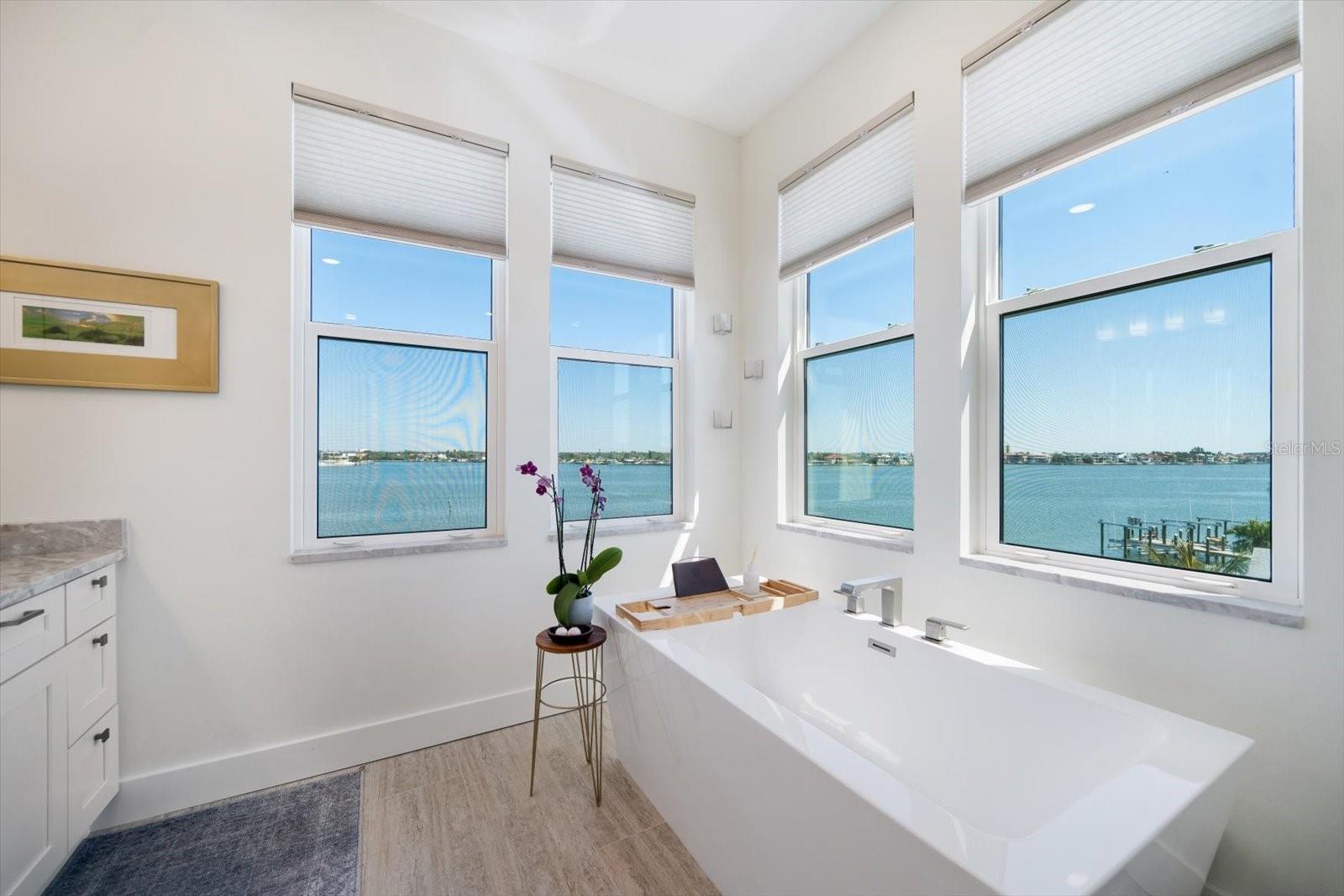 Primary Suite bathroom, LOOK at those views!