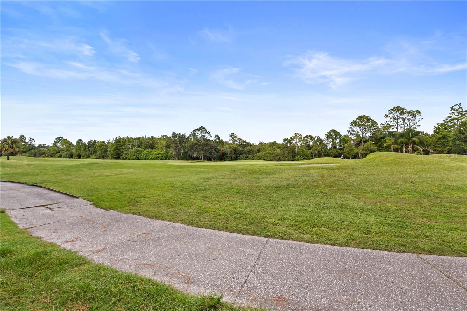 Westchase Golf Course view from backyard