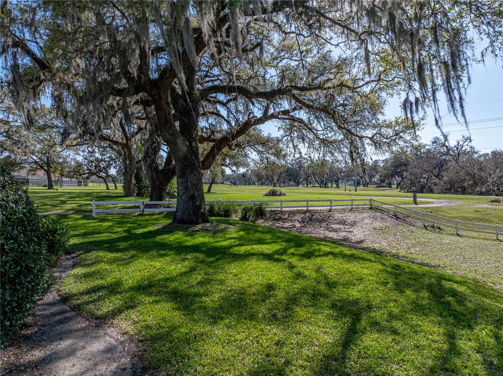 View of back yard and golf course