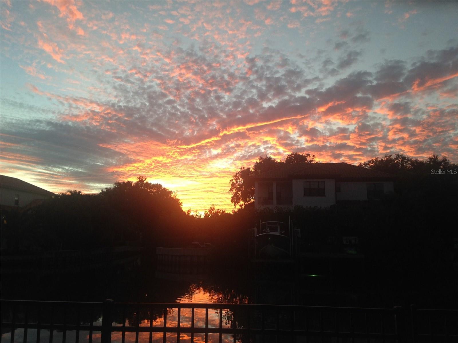 Sunset views from the backyard