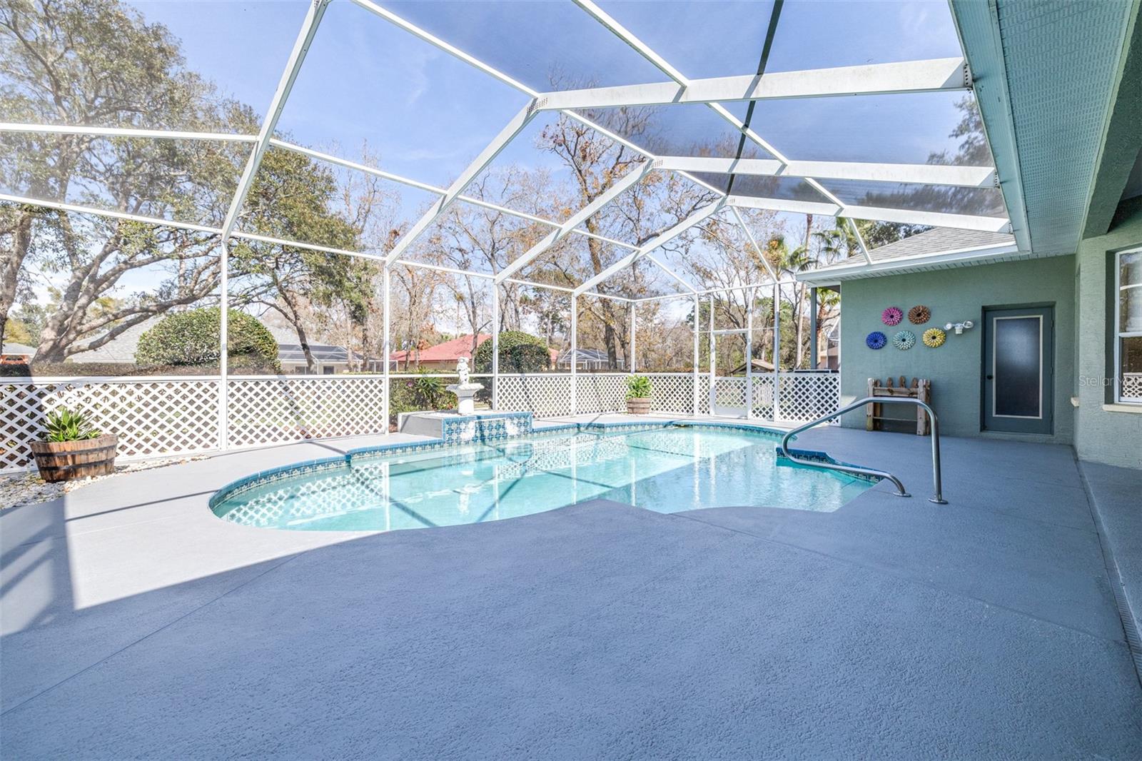 Gorgeous backyard pool