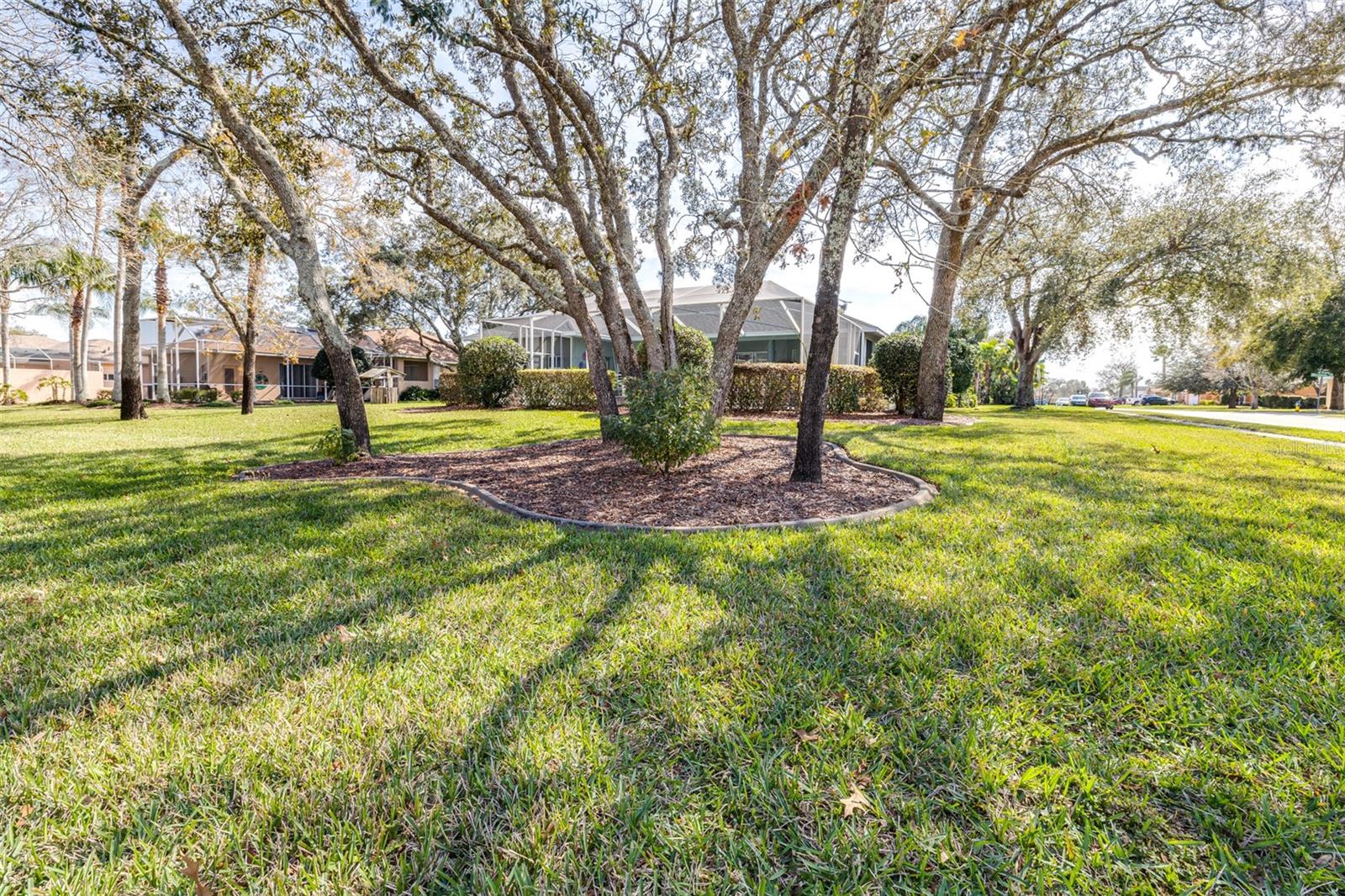 Gorgeous park-like yard with mature landscaping