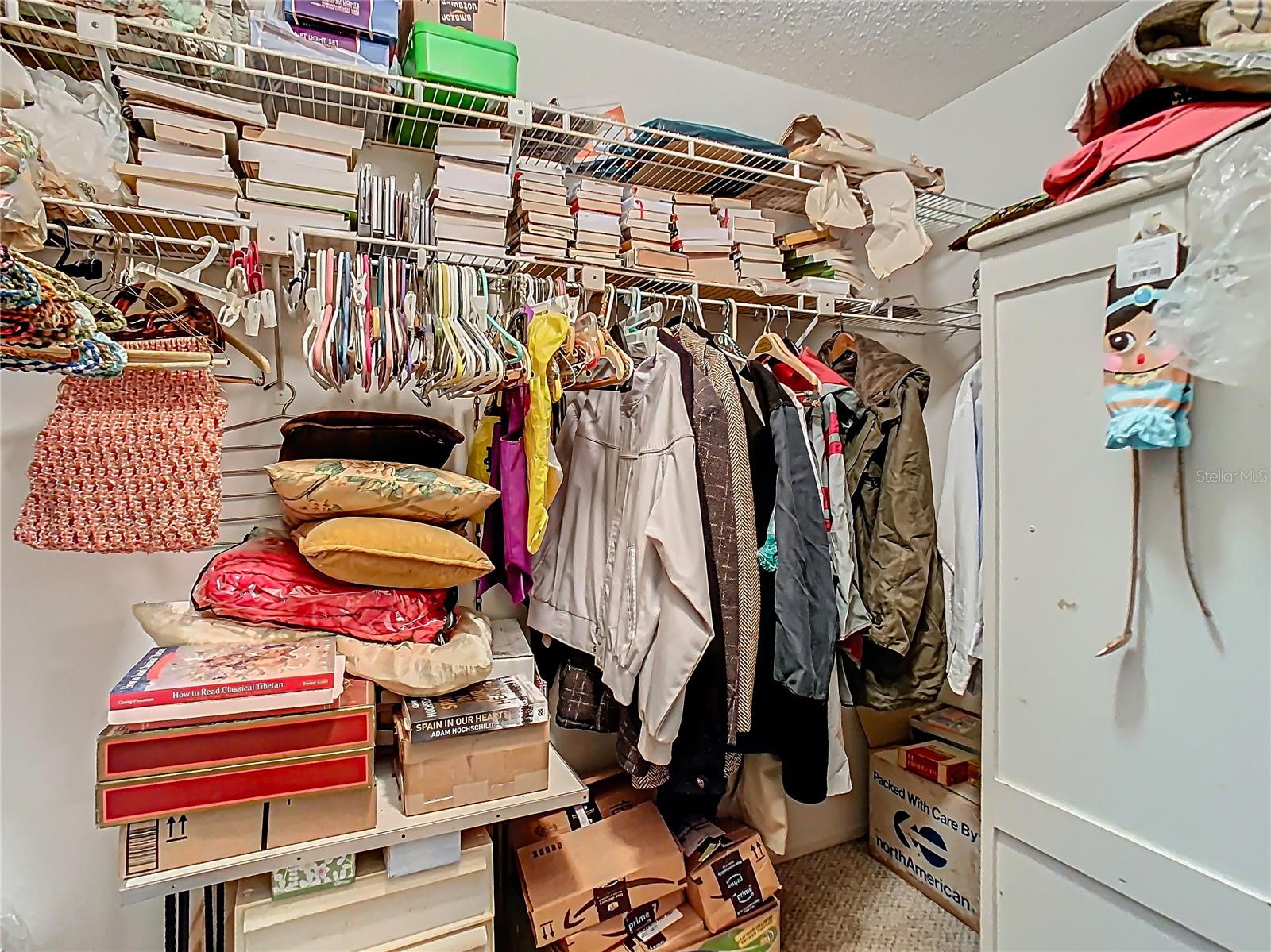 Second Bedroom walk-in closet