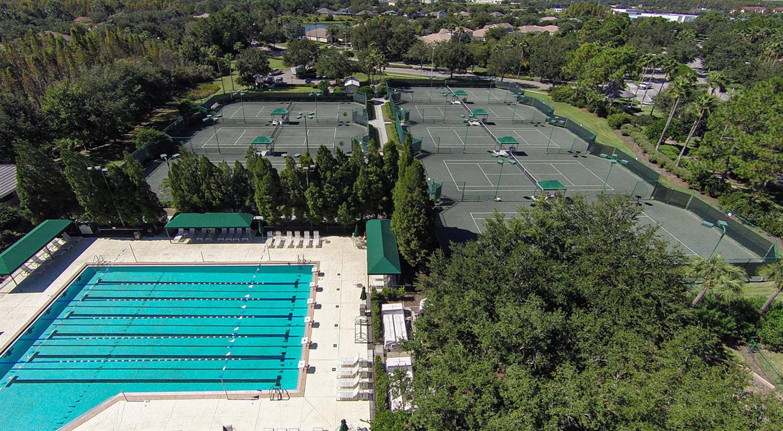 Lap Pool with tennis courts