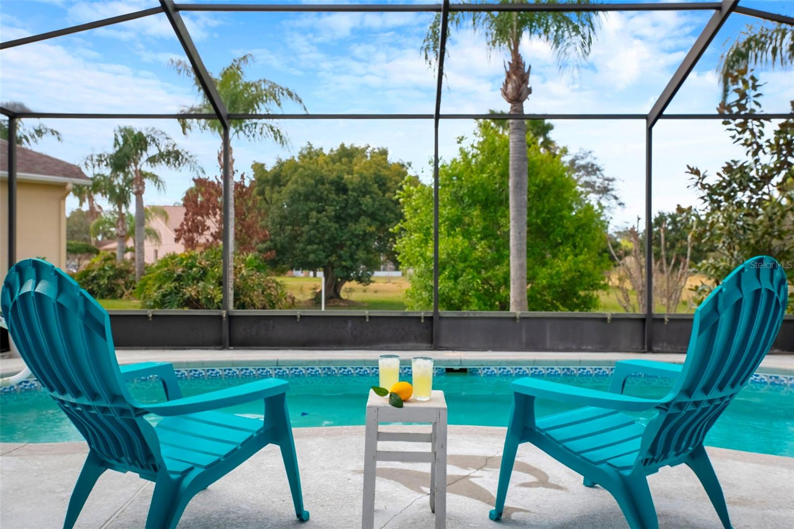 Screened Pool Area