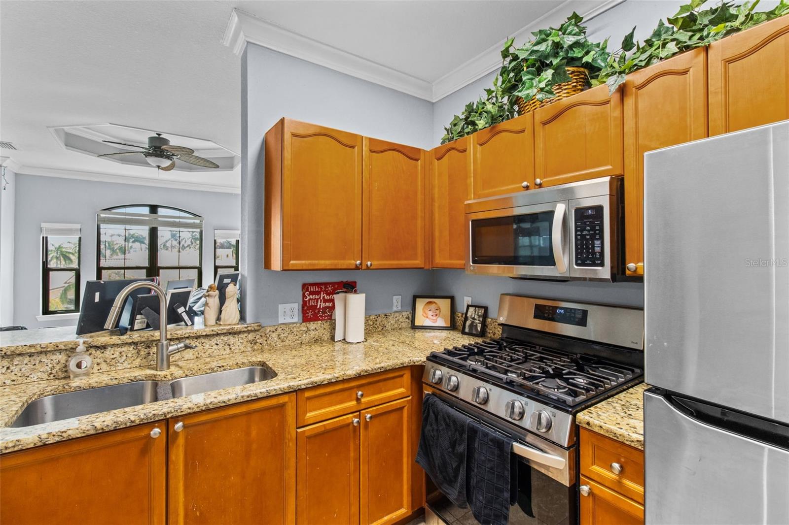 kitchen with views of the pool and palm trees