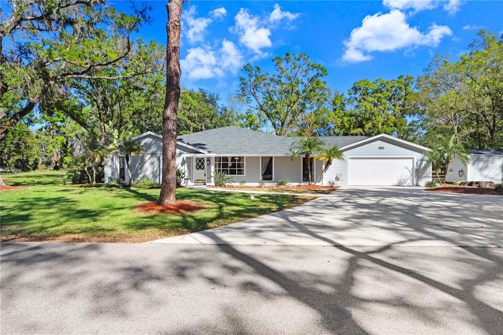 Spacious Driveway