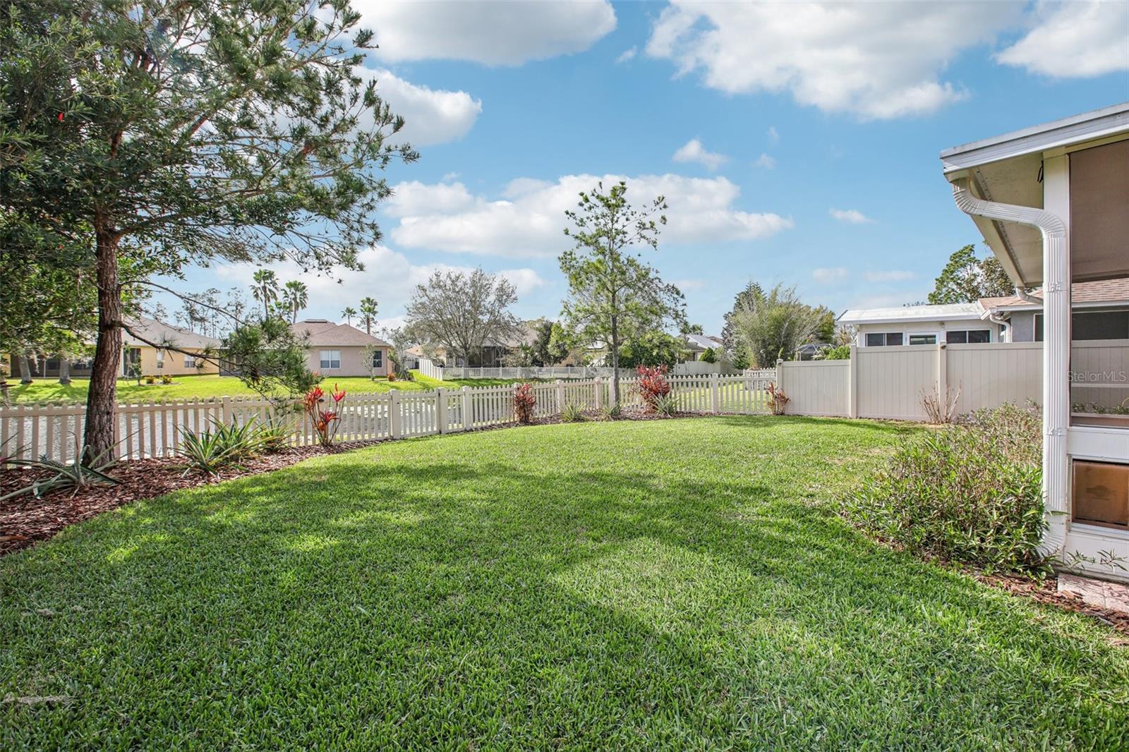 Backyard overlooking pond