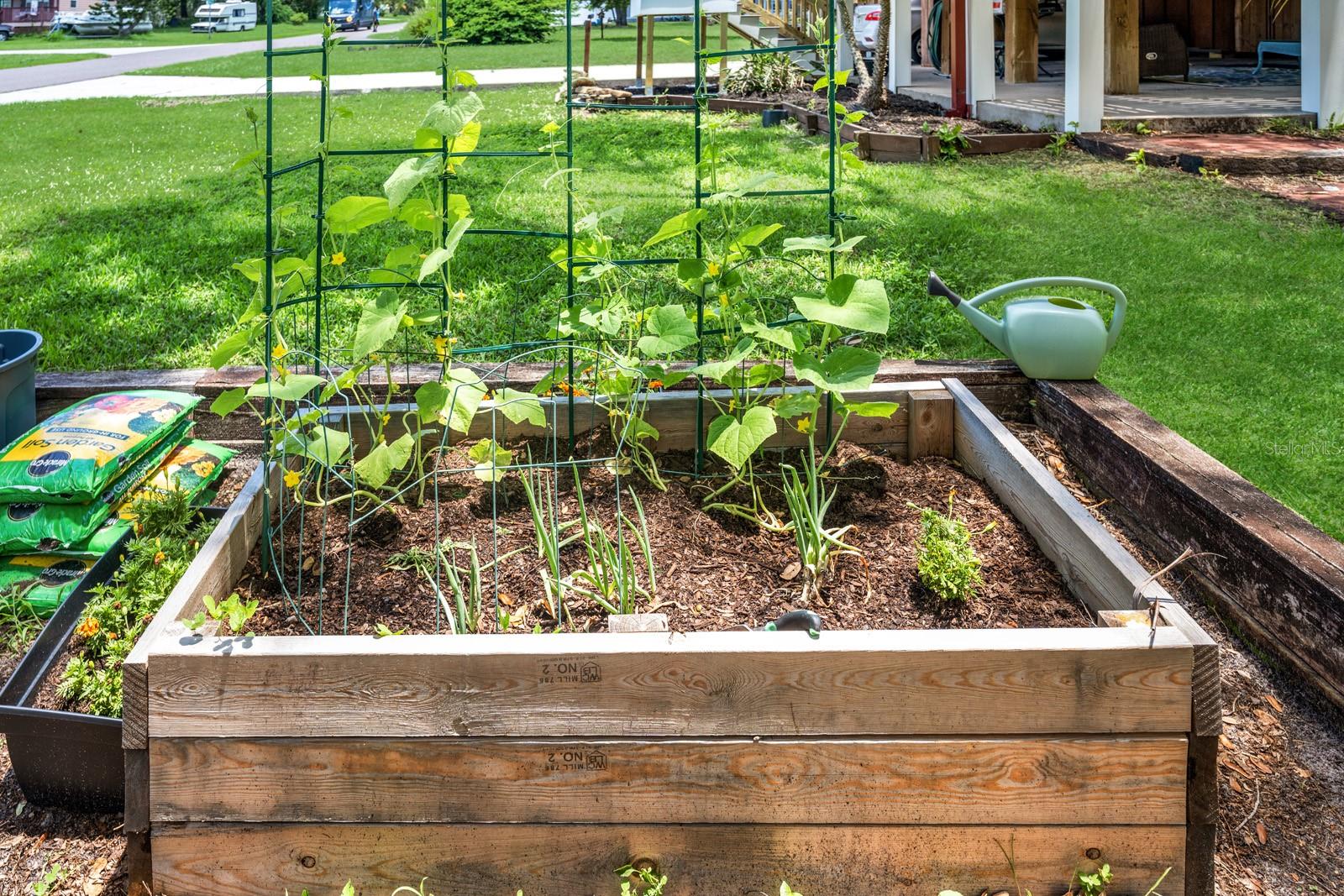 Close up view of compost area