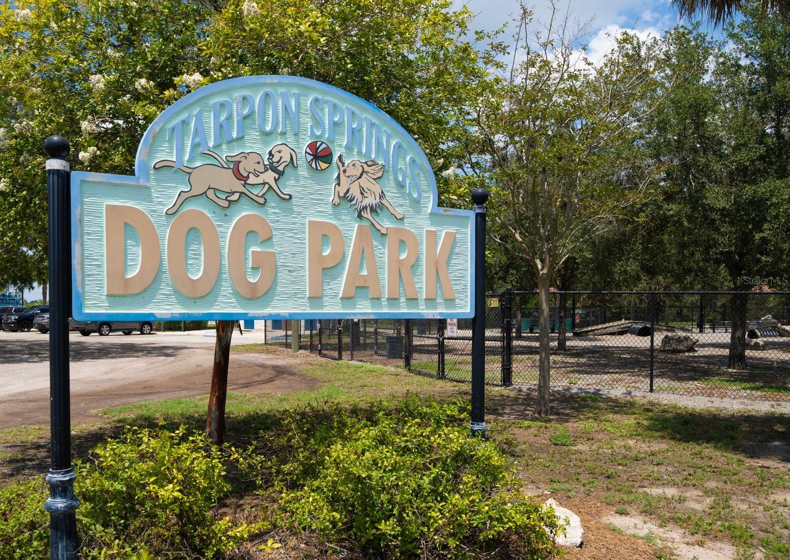 Dog Park