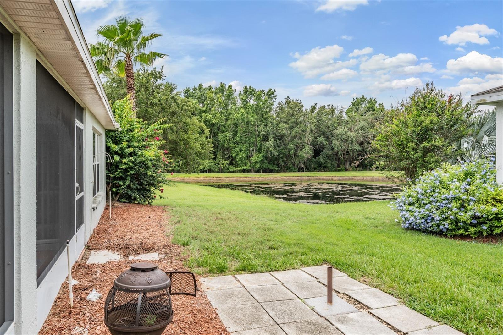 Serene POND VIEWS!