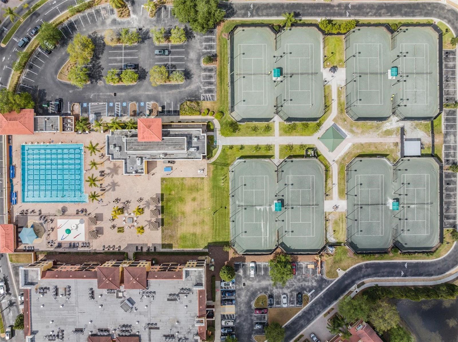 Tennis anyone - Carrollwood COuntry Club