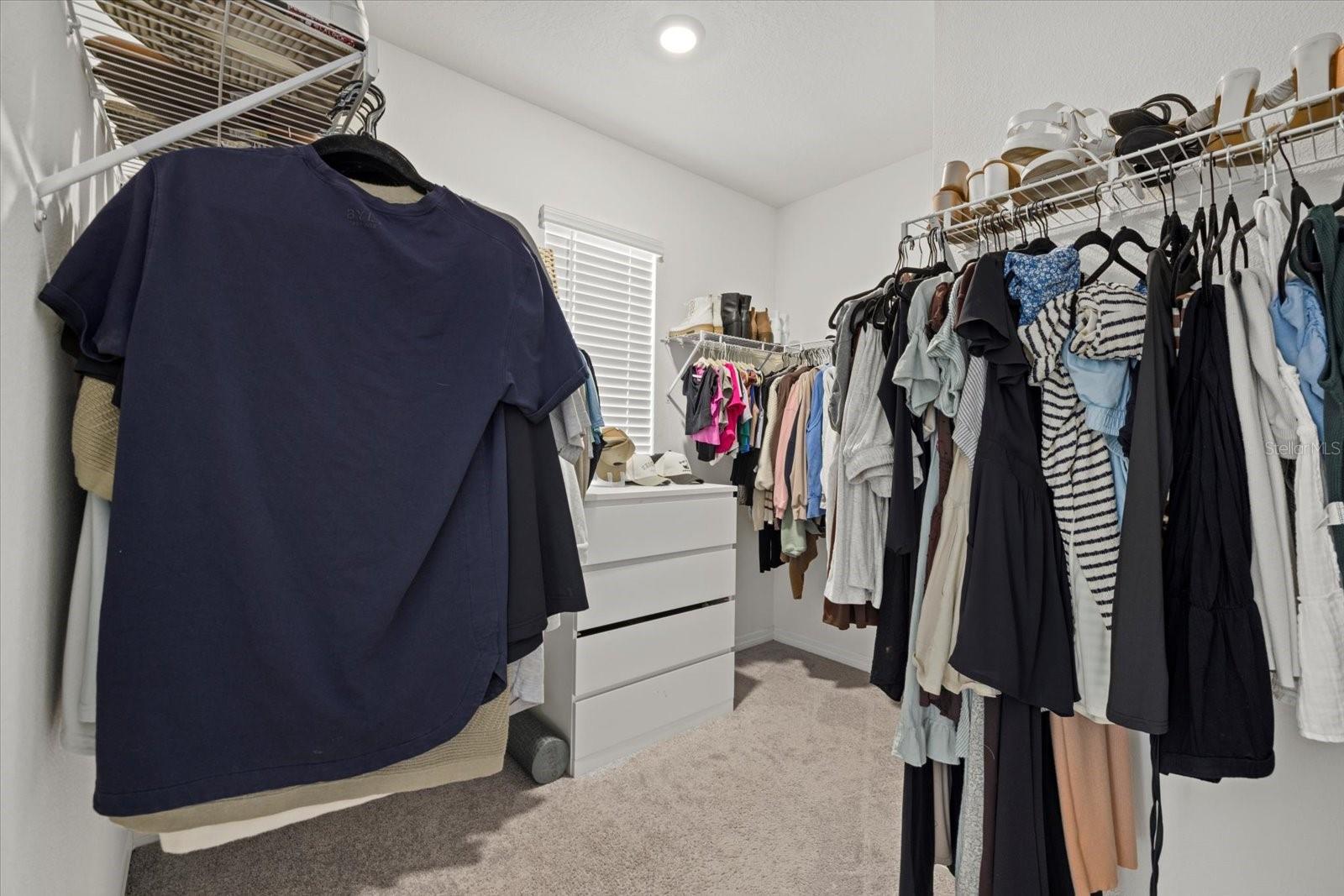 Primary Bedroom Walk-In closet