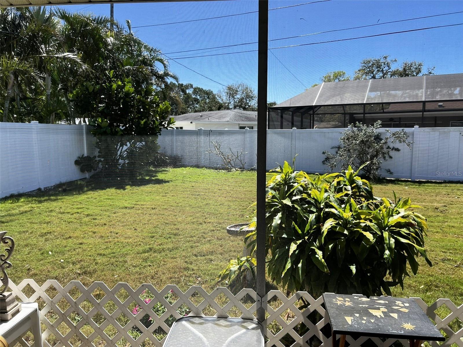 Backyard from Porch