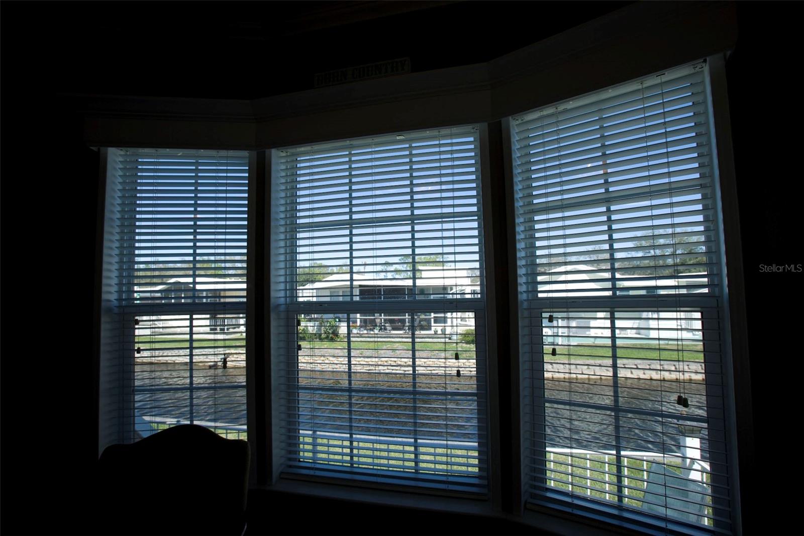 View from Bay windows in living room