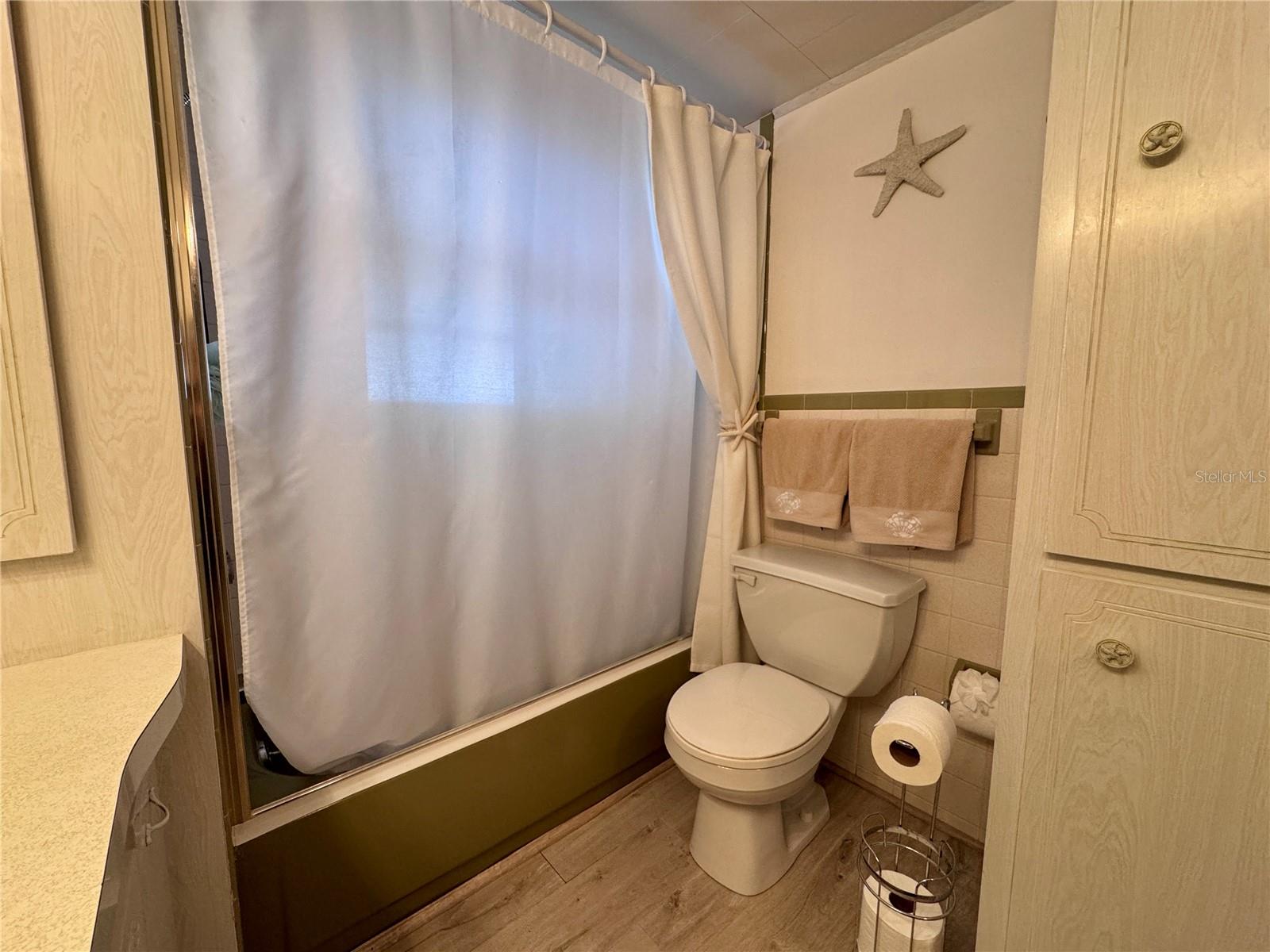 Tub shower in the hall bathroom.