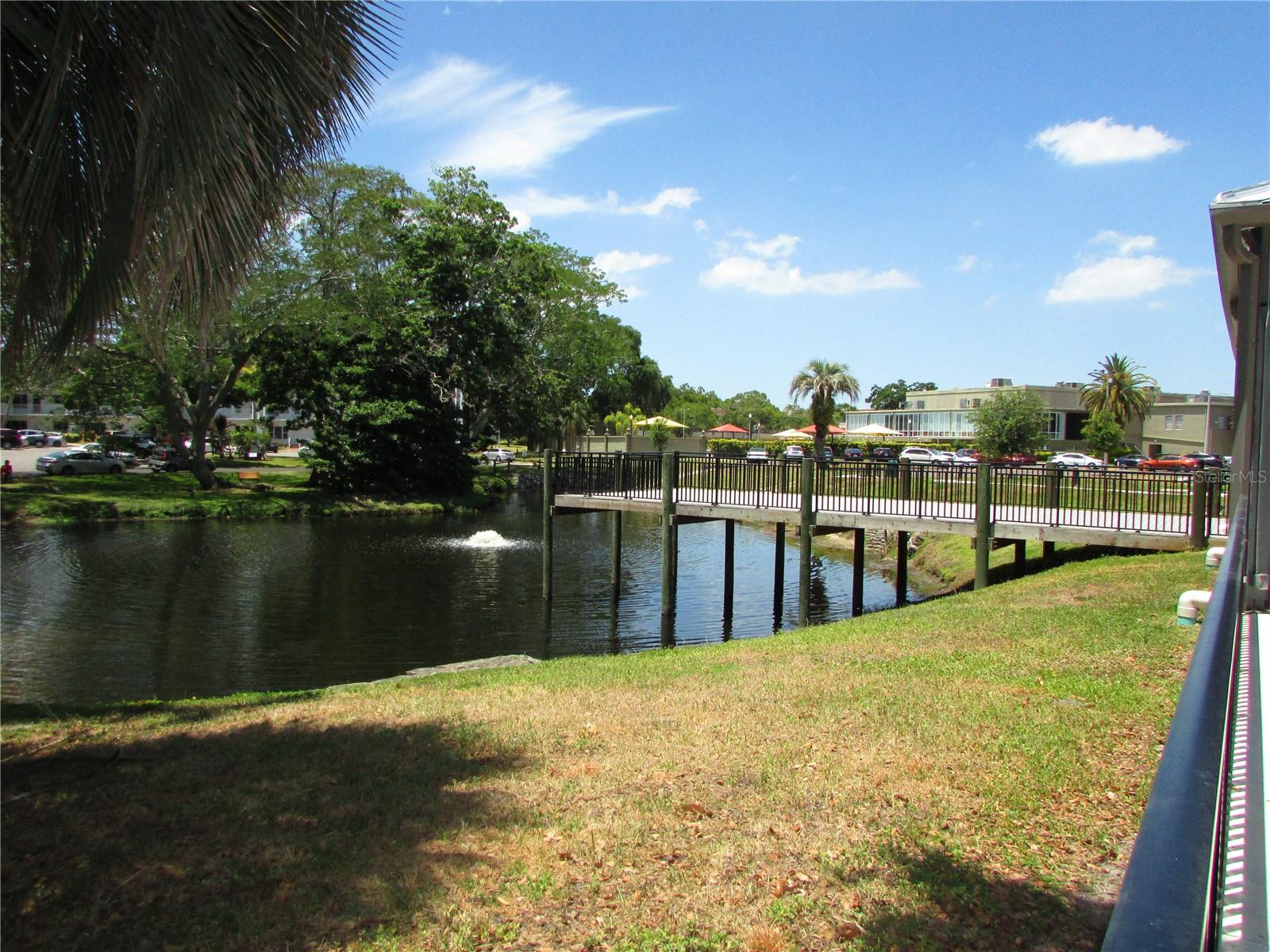 Calming Ponds