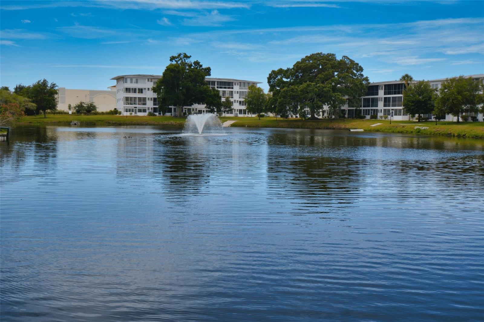 LAKE VIEWS ON PROPERTY