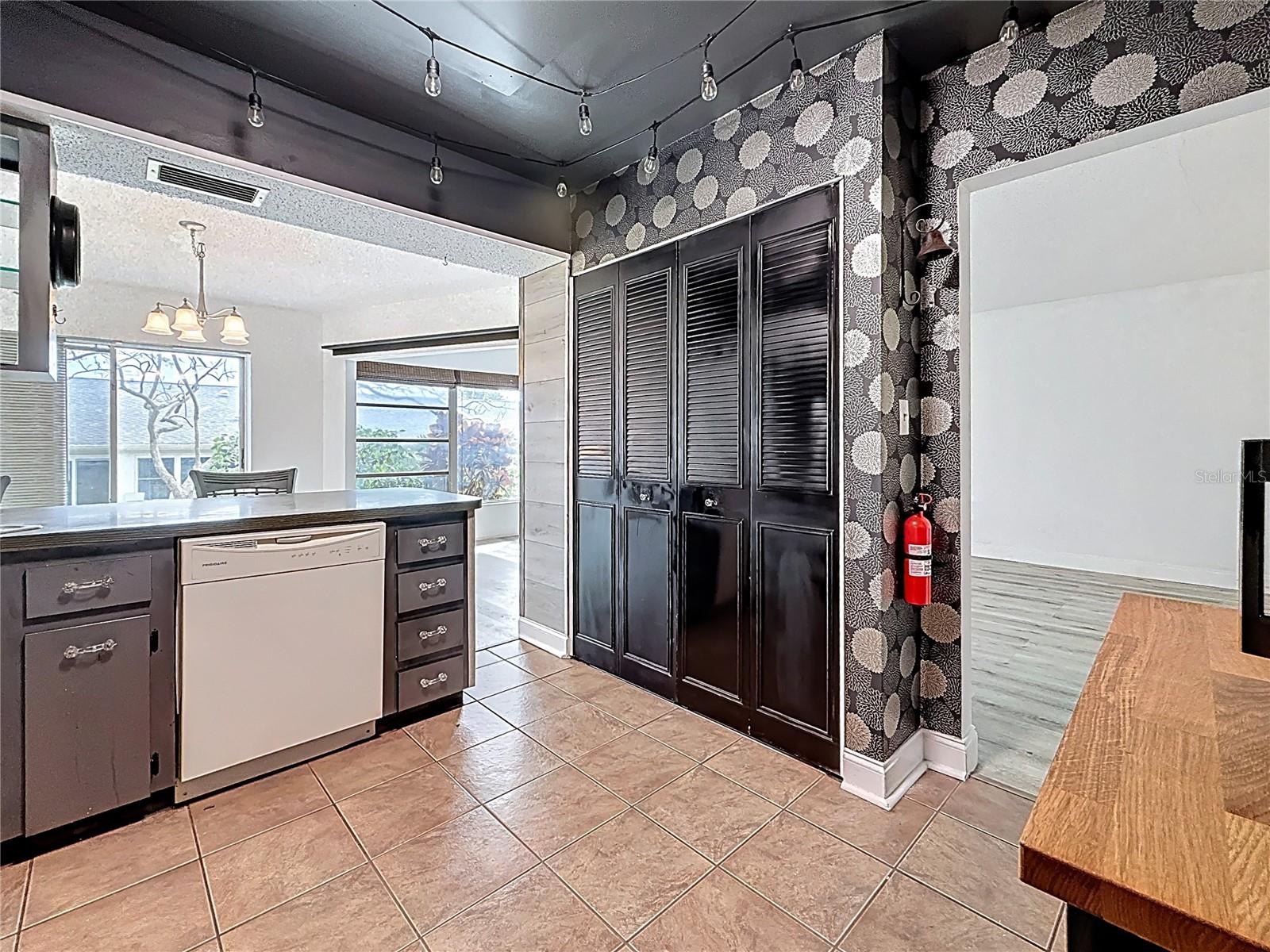 Your back is to the fridge, that's the wall pantry behind the black doors, Lots of space!