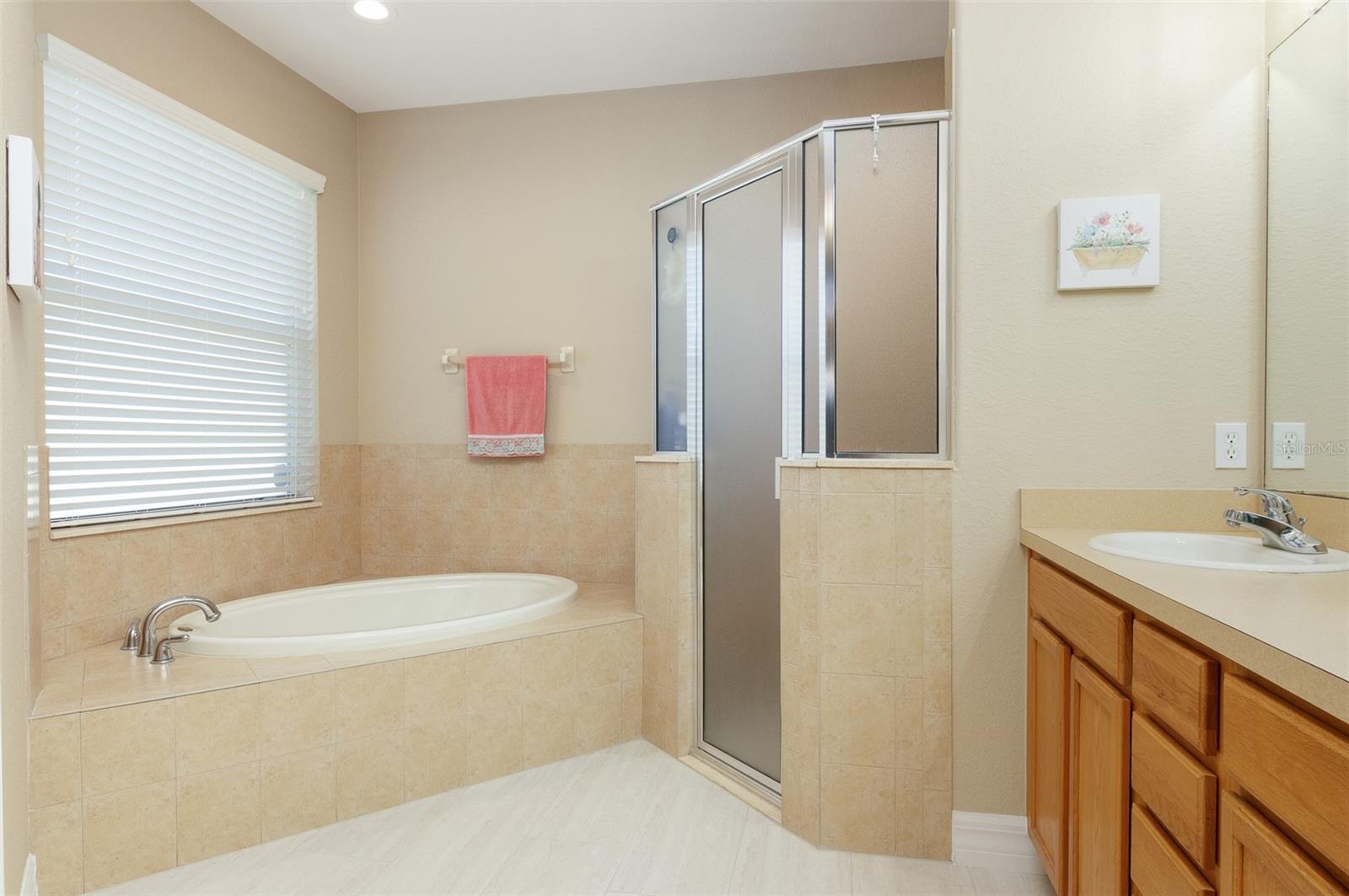 Standing Shower and tub