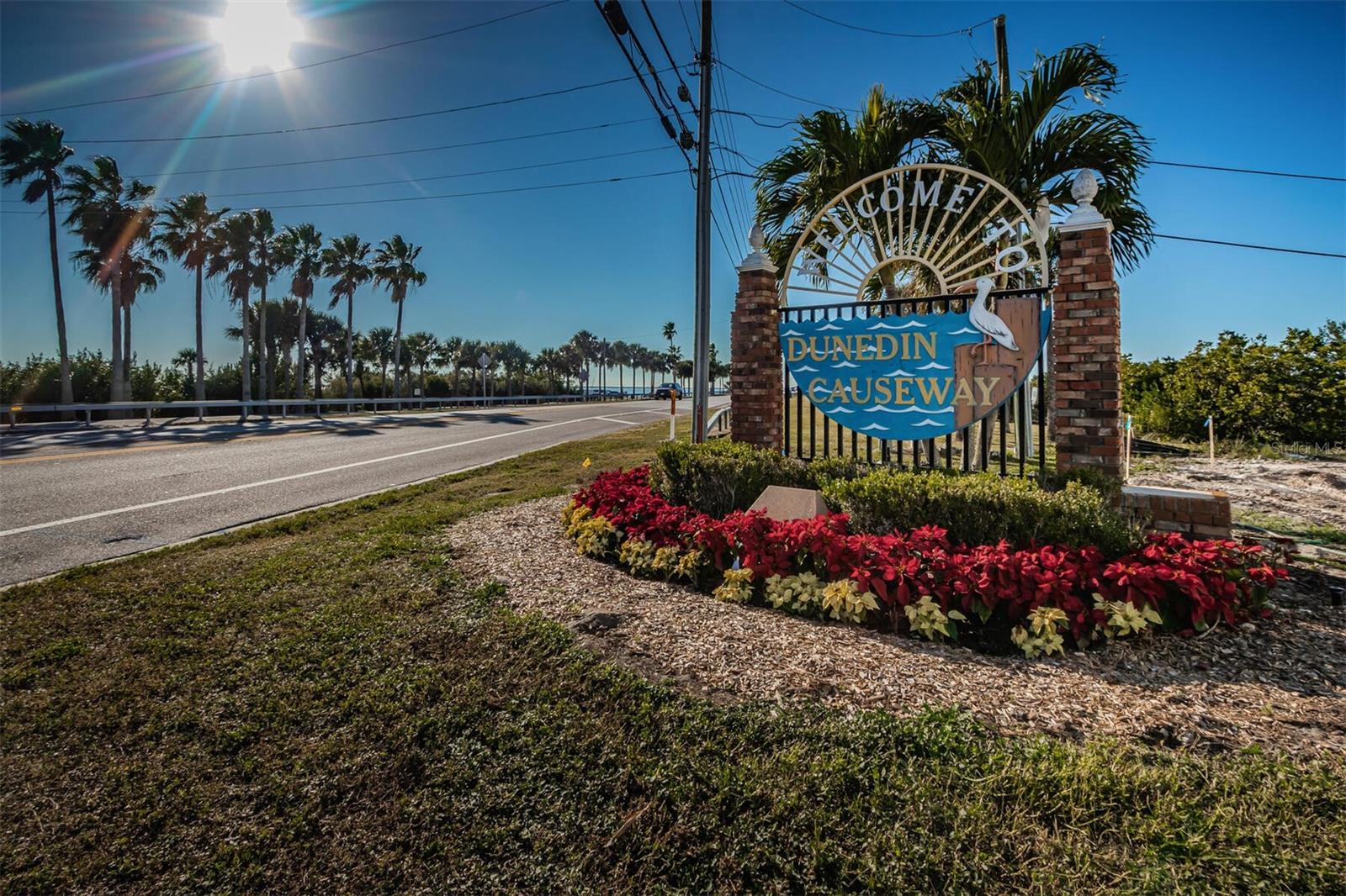 Dunedin Causeway