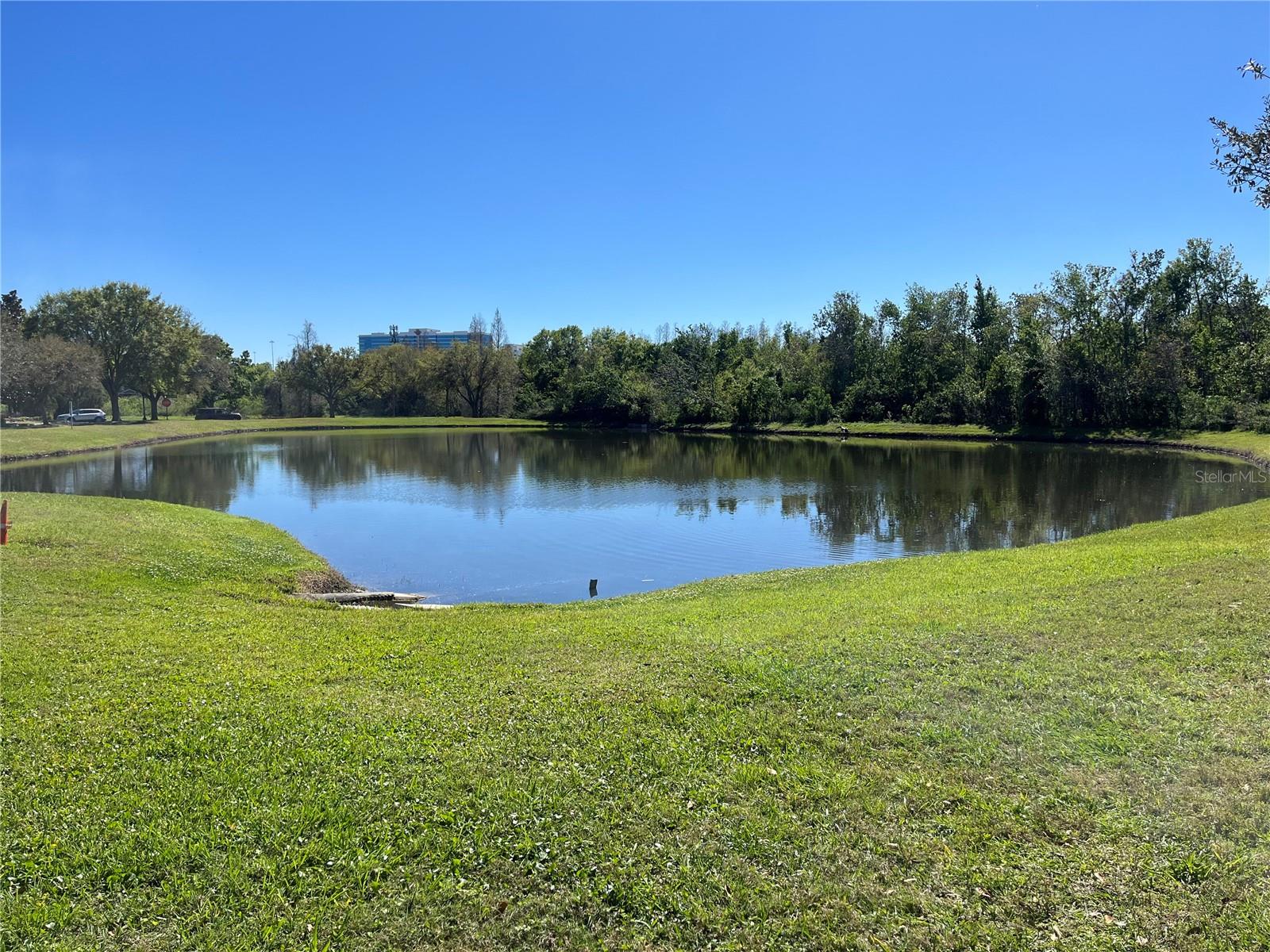 Pond in community