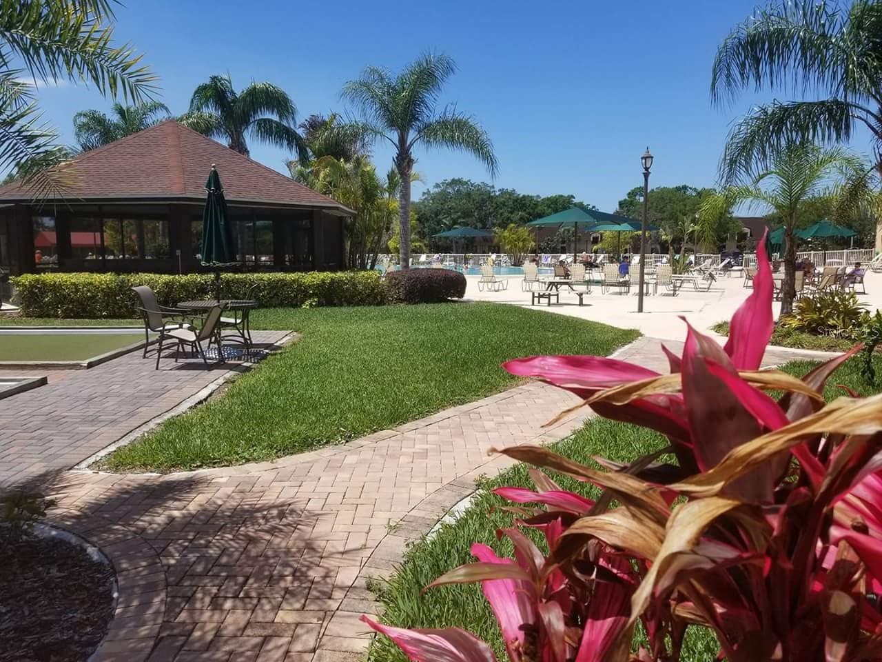 N Club Pool