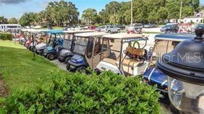 Sun City Center Golf Cart Transportation
