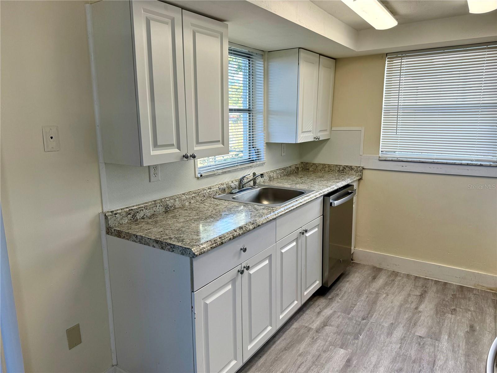 Brand New Dishwasher, Newer Cabinets